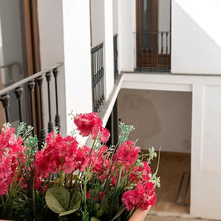 Estudio San Pedro-corredera Cordoba